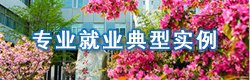 蘑菇tv官方网页版永久版官方网站入口